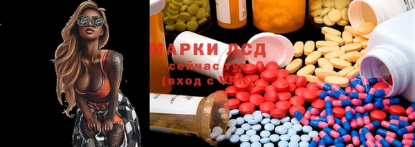 spice Белокуриха