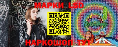 гидропоника Новокубанск