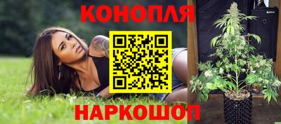 гидропоника Новокубанск