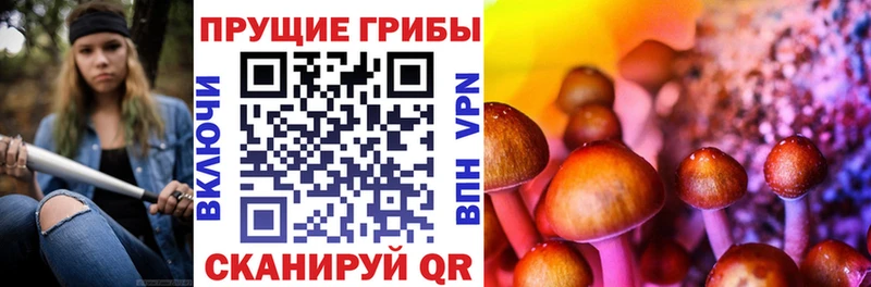 дарнет шоп  Бутурлиновка  Псилоцибиновые грибы прущие грибы 